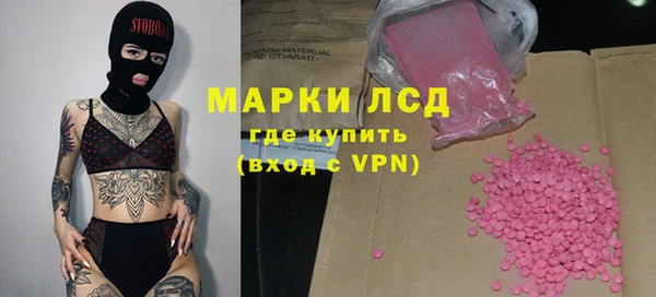 стаф Алзамай