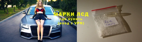 стаф Алзамай