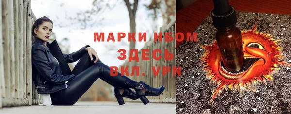 стаф Алзамай