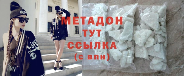стаф Алзамай
