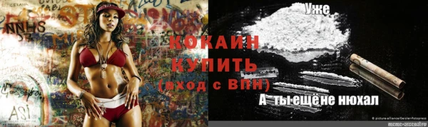 стаф Алексеевка