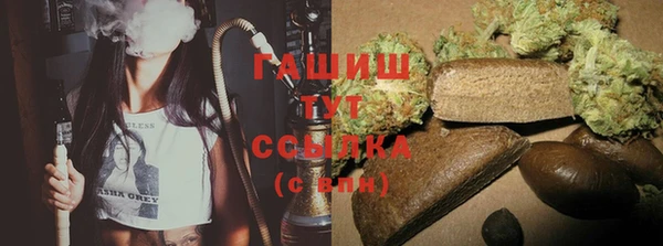 стаф Алзамай