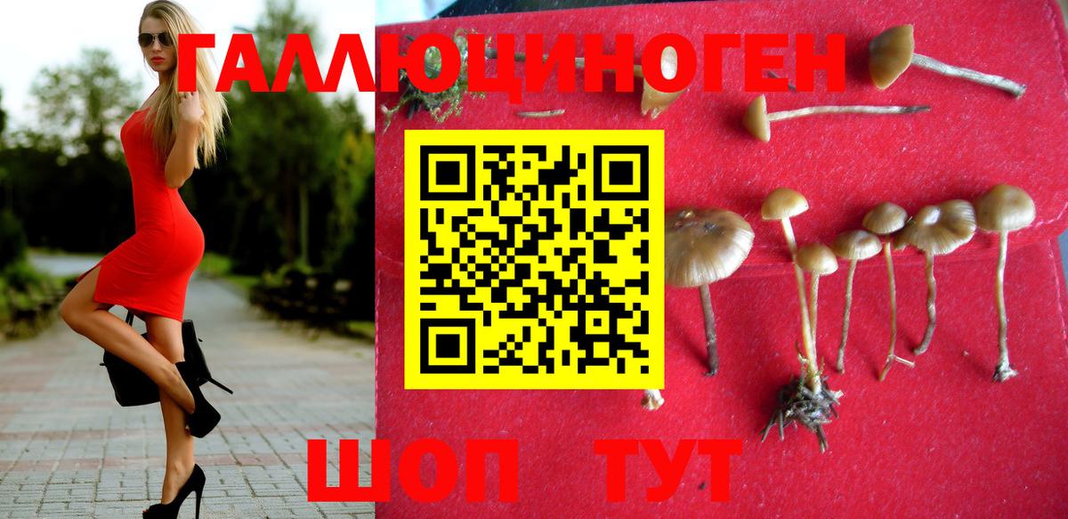 Псилоцибиновые грибы мухоморы Родники