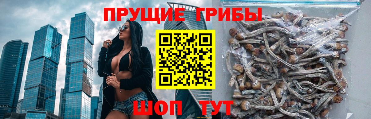 Родники  Галлюциногенные грибы мухоморы  Вход с VPN 